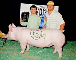 York Winners